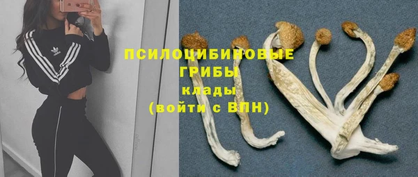 герыч Вязники